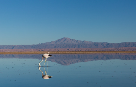 San Pedro de Atacama