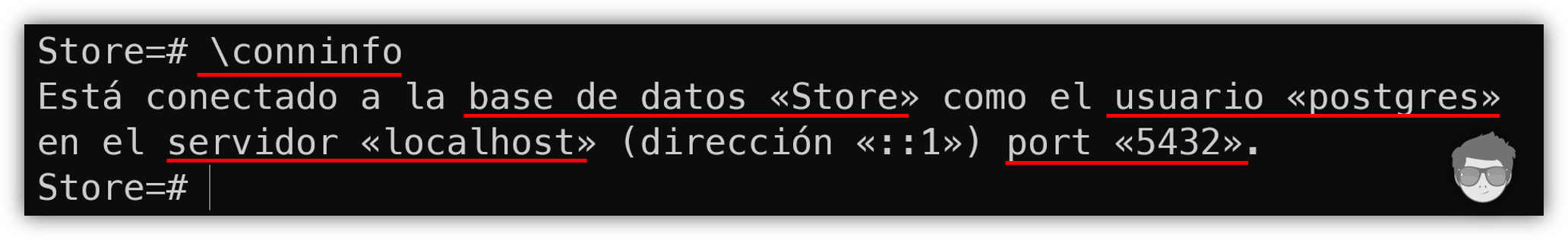 meta comando conninfo