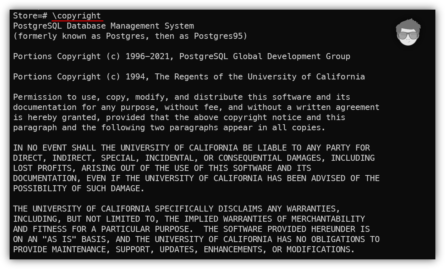 meta comando copyright