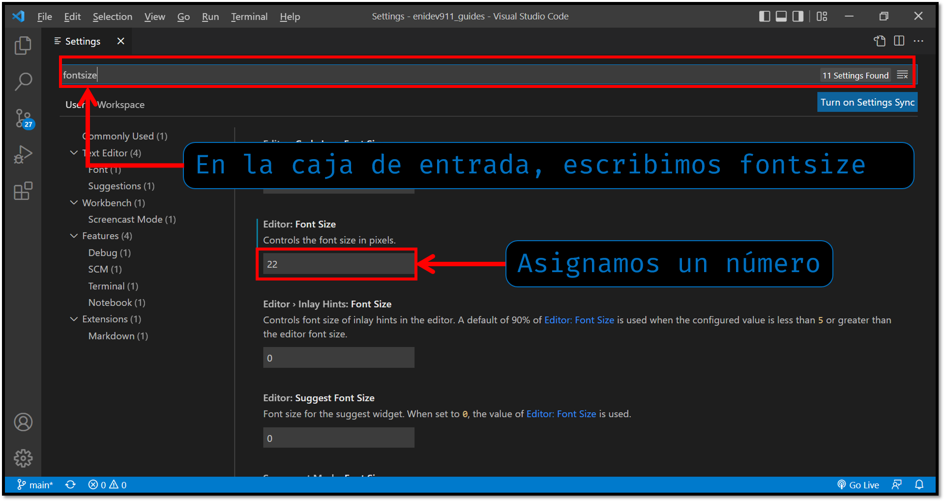 fontsize