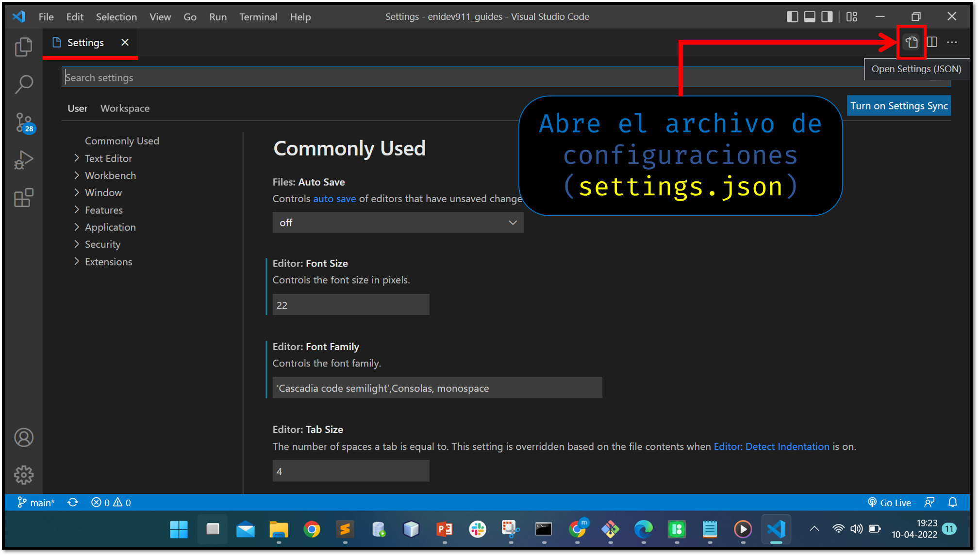 settings.json