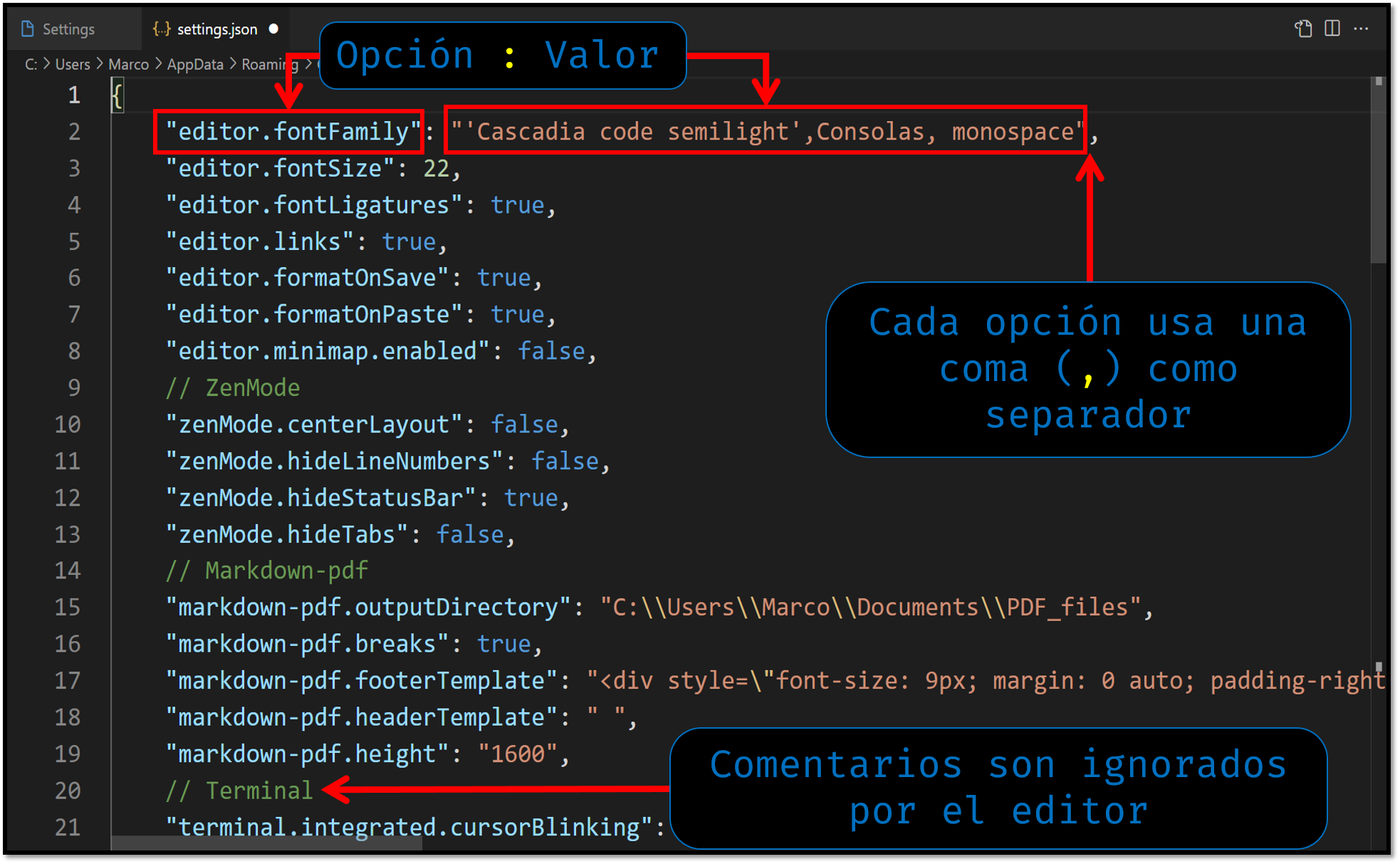 settings.json